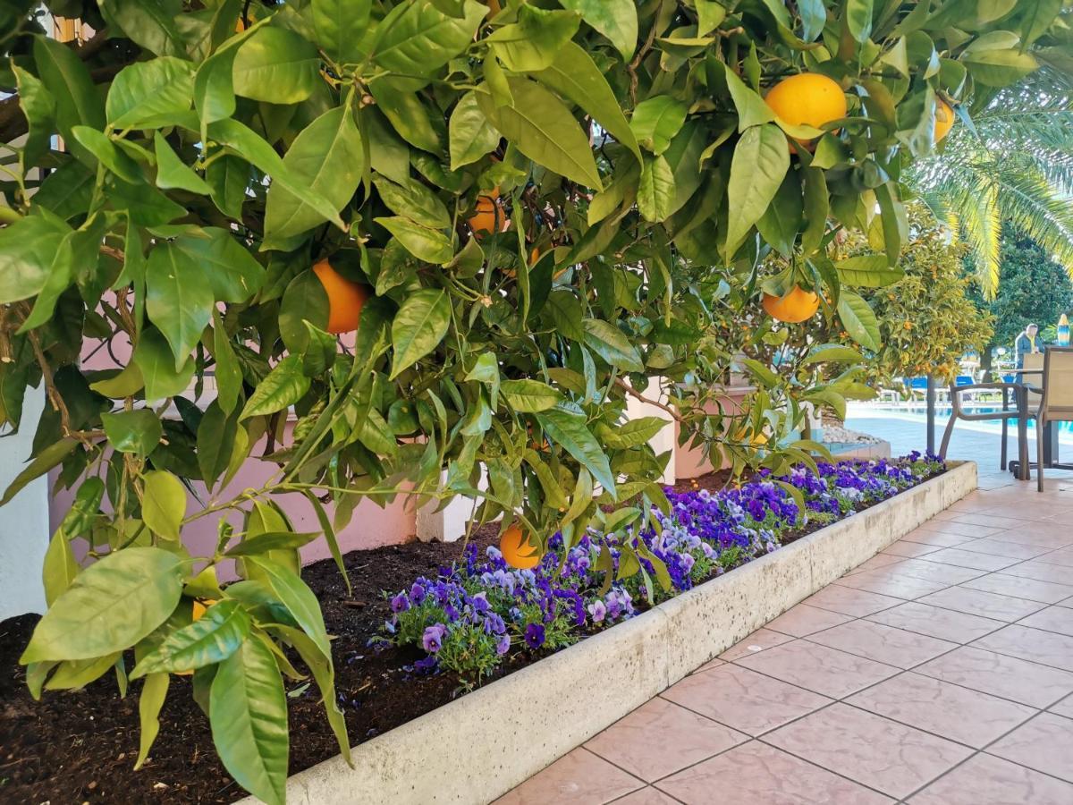 Sunlake Hotel Riva del Garda Kültér fotó